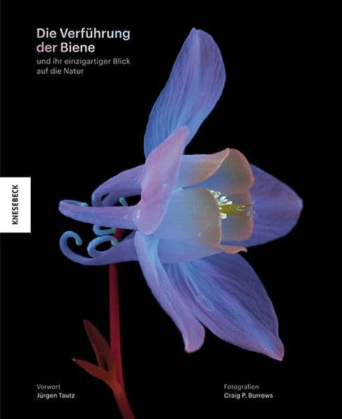Die Verführung der Biene: und ihr einzigartiger Blick auf die Natur