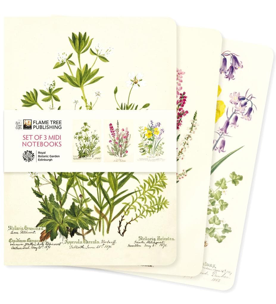 Royal Botanic Garden Edinburgh Set of 3 MIDI Notebooks
