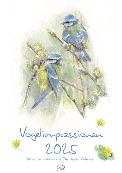 Vogelimpressionen 2025