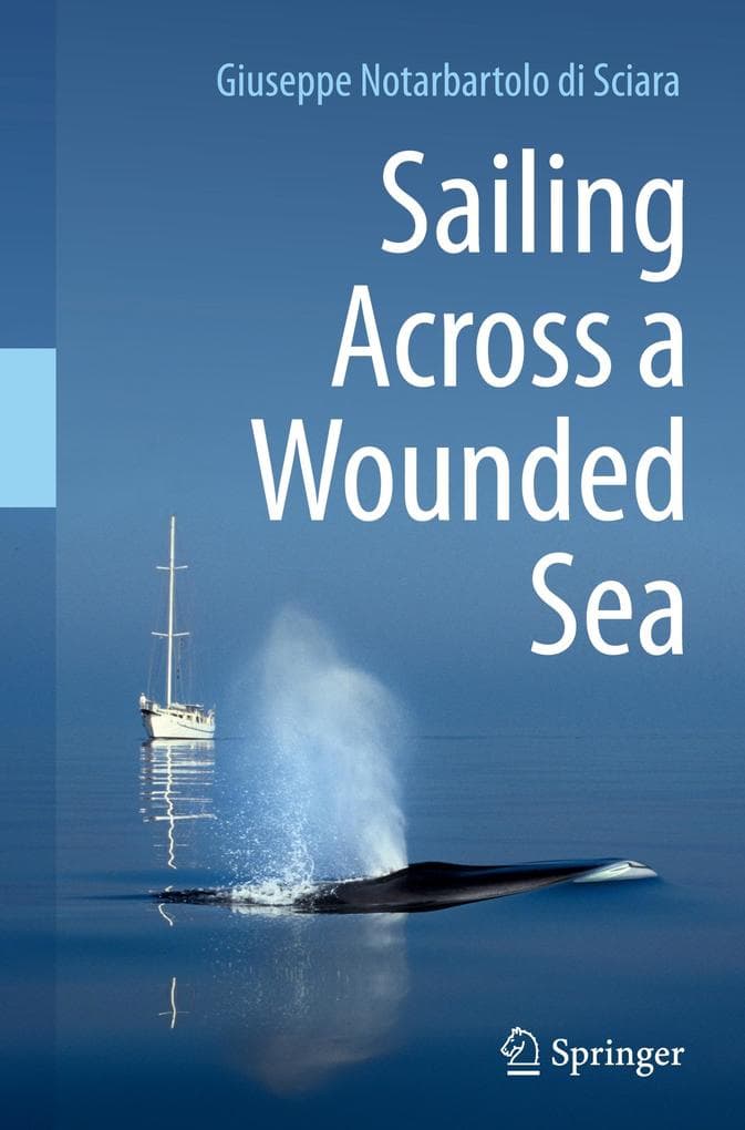 Sailing Across a Wounded Sea