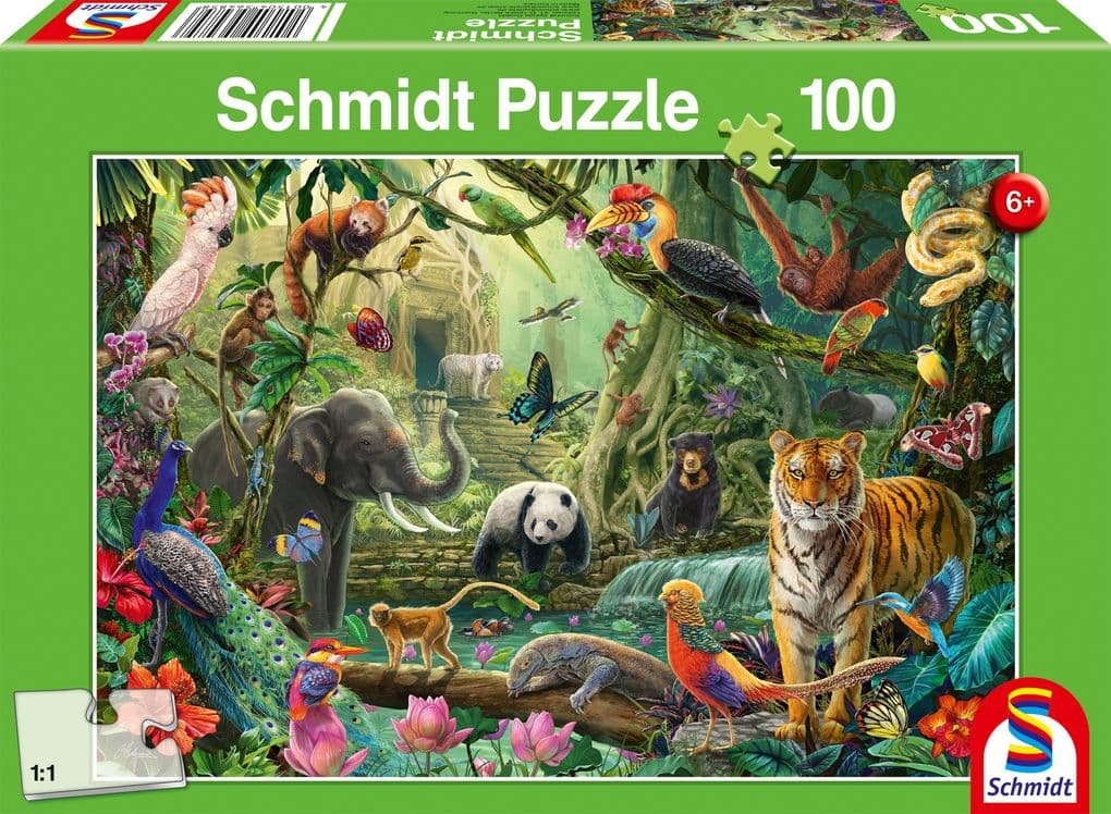 Bunte Tierwelt im Dschungel