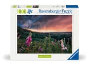 Erwachsenenpuzzle 1000 Teile - Ein Sturm zieht auf
