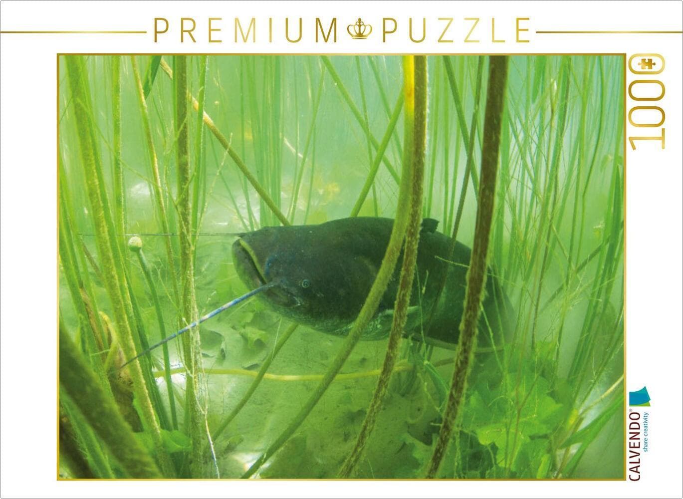 CALVENDO Puzzle Wels im Lac de Paladru, Auvergne-Rhône-Alpes | 1000 Teile Lege-Größe 64x48cm Foto-Pu