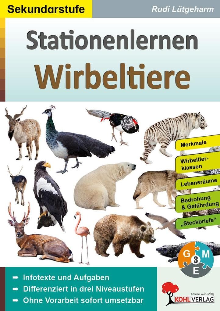 Stationenlernen Wirbeltiere