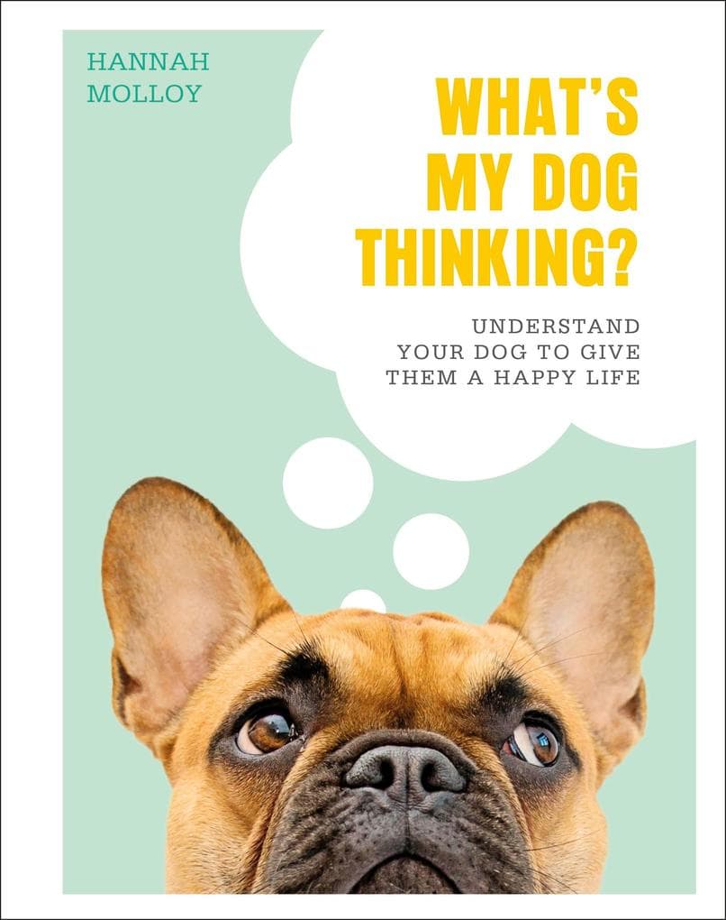 What's My Dog Thinking?