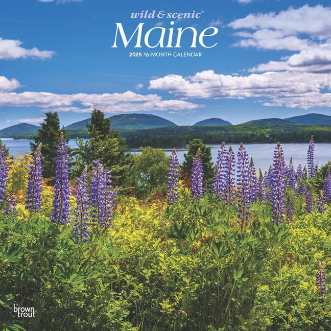 Maine Wild & Scenic 2025 12 X 24 Inch Monthly Square Wall Calendar Plastic-Free