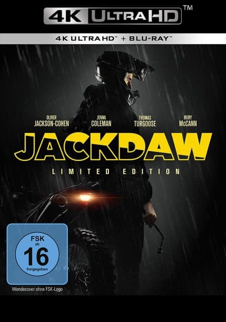 Jackdaw