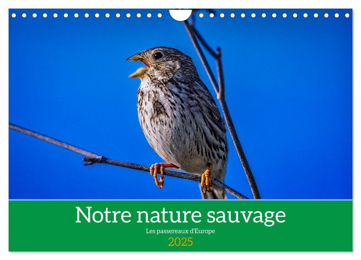 Notre nature sauvage, les passereaux d'Europe (Calendrier mural 2025 DIN A4 vertical), CALVENDO calendrier mensuel