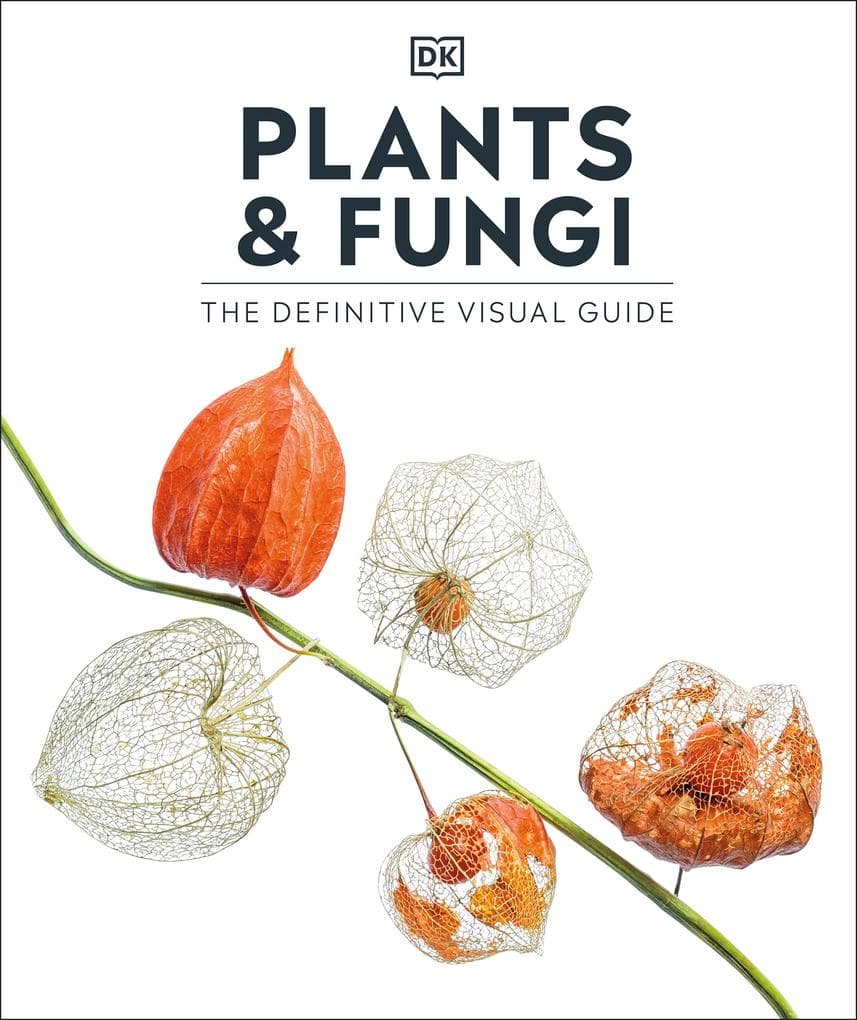 Plants and Fungi