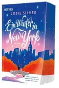 Ein Winter in New York