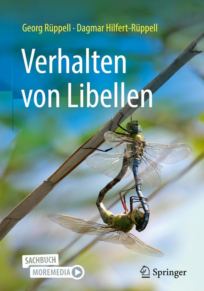Verhalten von Libellen