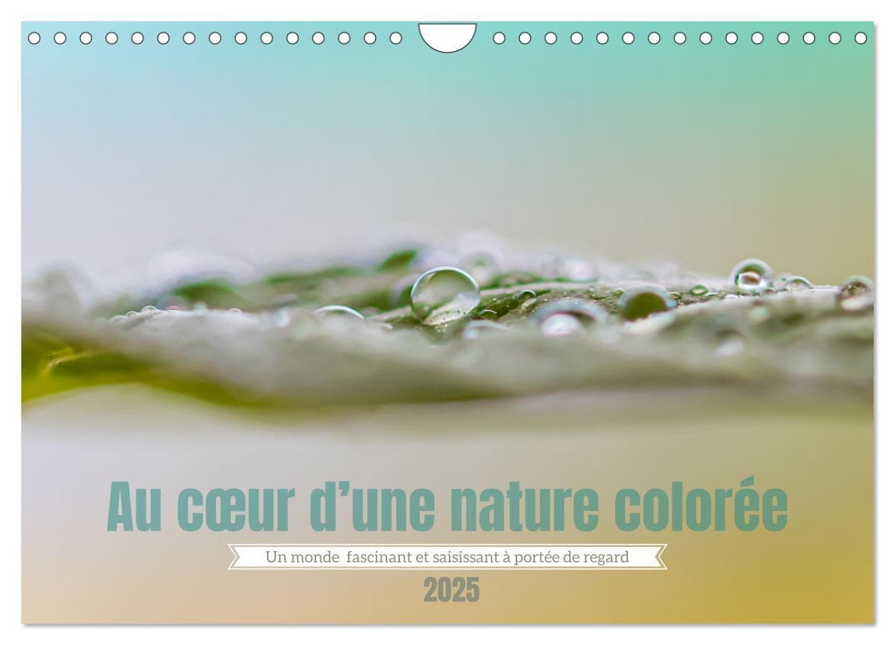 Au cur dune nature colorée (Calendrier mural 2025 DIN A4 vertical), CALVENDO calendrier mensuel