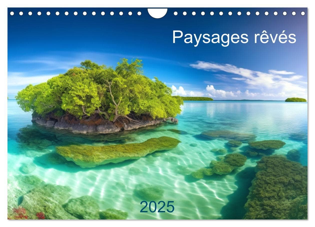 Paysages rêvés (Calendrier mural 2025 DIN A4 vertical), CALVENDO calendrier mensuel