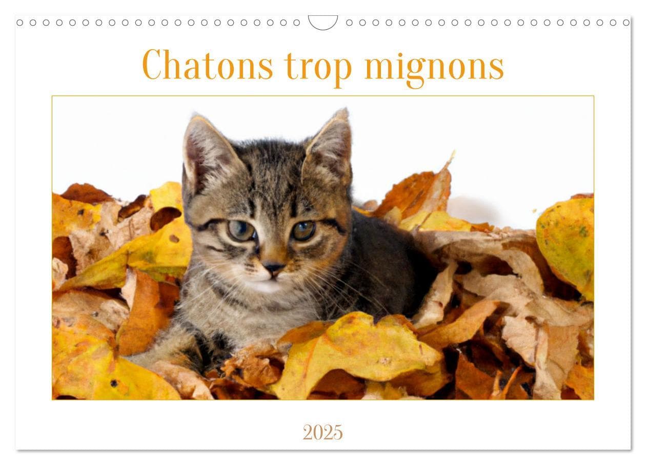 Chatons trop mignons (Calendrier mural 2025 DIN A3 vertical), CALVENDO calendrier mensuel