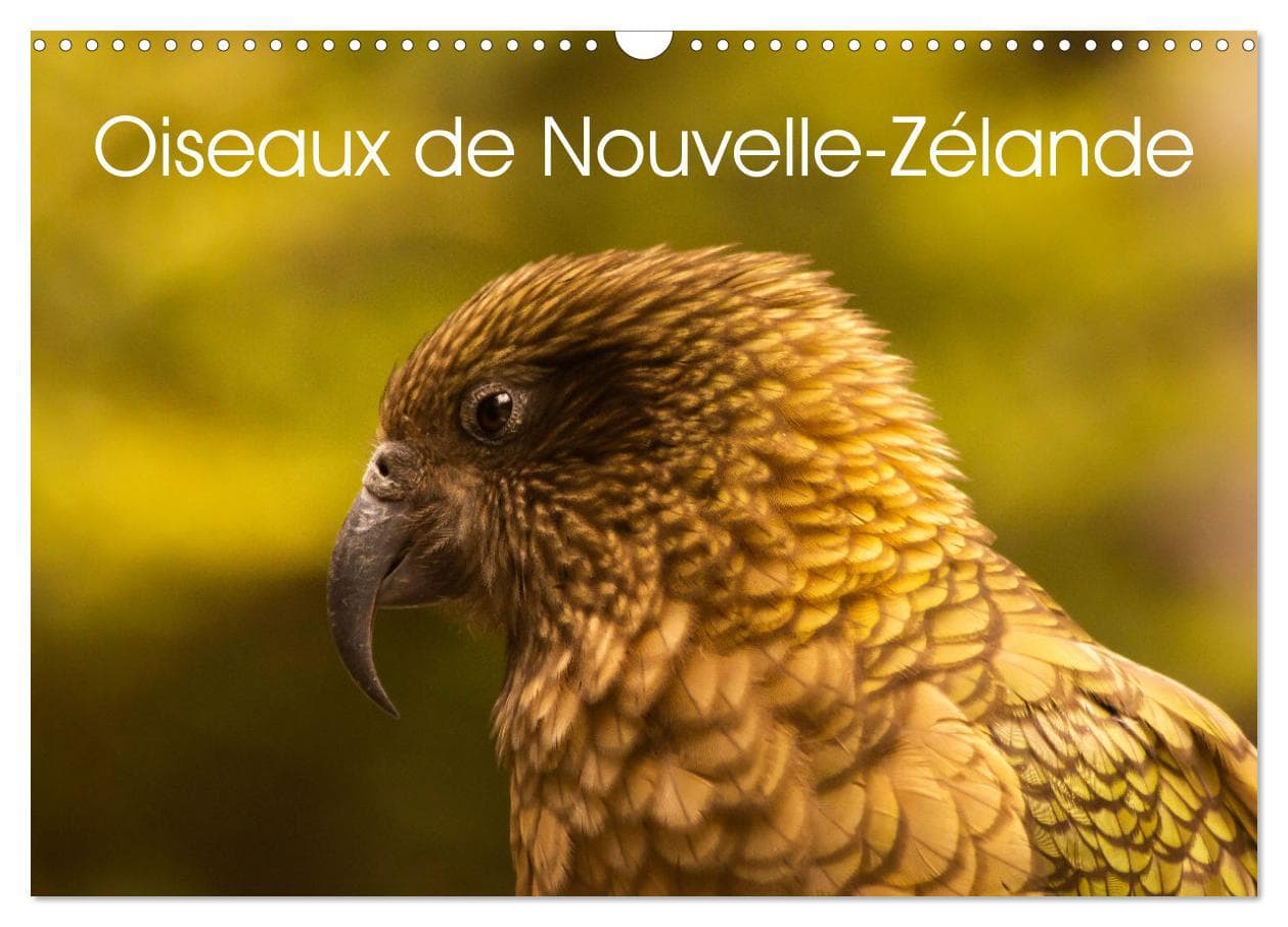 Oiseaux de Nouvelle-Zélande (Calendrier mural 2025 DIN A3 vertical), CALVENDO calendrier mensuel