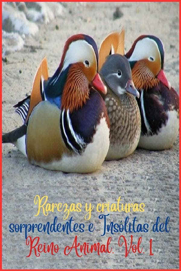 Rarezas y criaturas sorprendentes e Insólitas del Reino Animal. Vol. 1