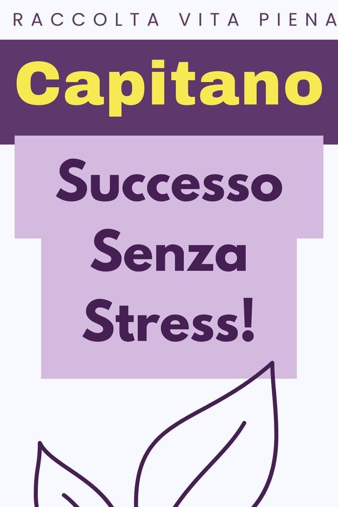 Successo Senza Stress! (Raccolta Vita Piena, #39)