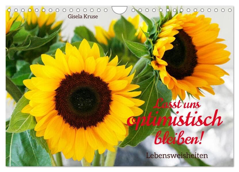 Lasst uns optimistisch bleiben (Wandkalender 2025 DIN A4 quer), CALVENDO Monatskalender