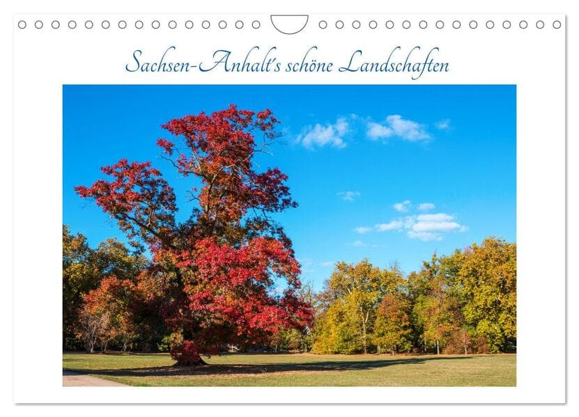Sachsen-Anhalt's schöne Landschaften (Wandkalender 2025 DIN A4 quer), CALVENDO Monatskalender