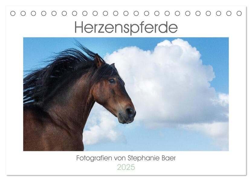 Herzenspferde 2025 (Tischkalender 2025 DIN A5 quer), CALVENDO Monatskalender