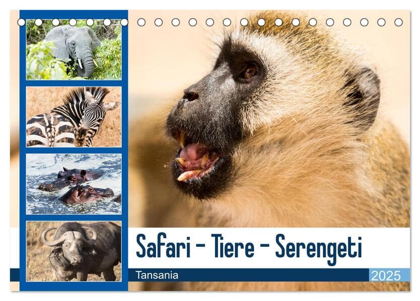 Safari - Tiere - Serengeti (Tischkalender 2025 DIN A5 quer), CALVENDO Monatskalender
