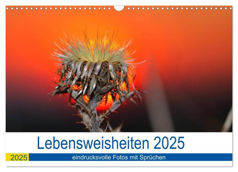 Lebensweisheiten 2025 (Wandkalender 2025 DIN A3 quer), CALVENDO Monatskalender