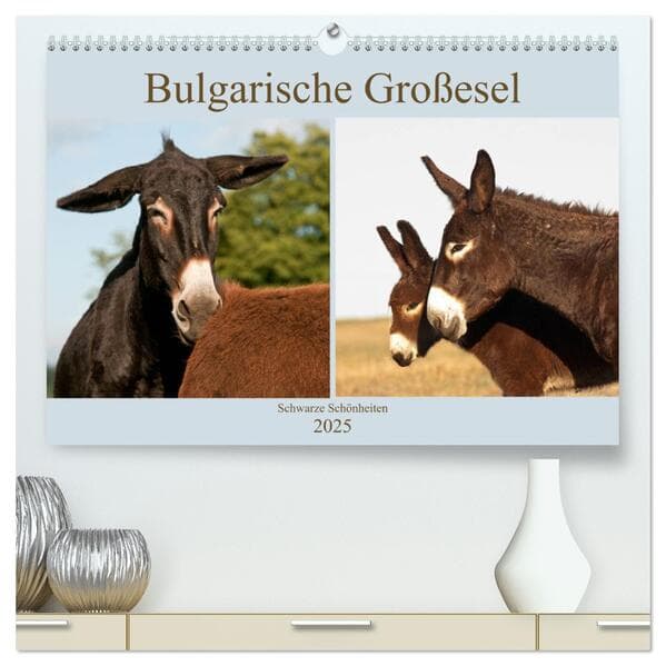 Bulgarische Großesel - Schwarze Schönheiten (hochwertiger Premium Wandkalender 2025 DIN A2 quer), Ku