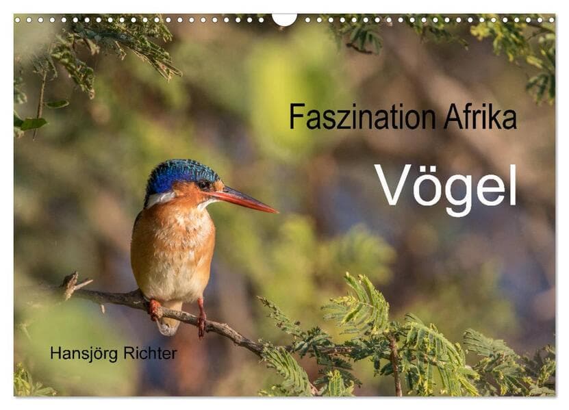 Faszination Afrika - Vögel (Wandkalender 2025 DIN A3 quer), CALVENDO Monatskalender