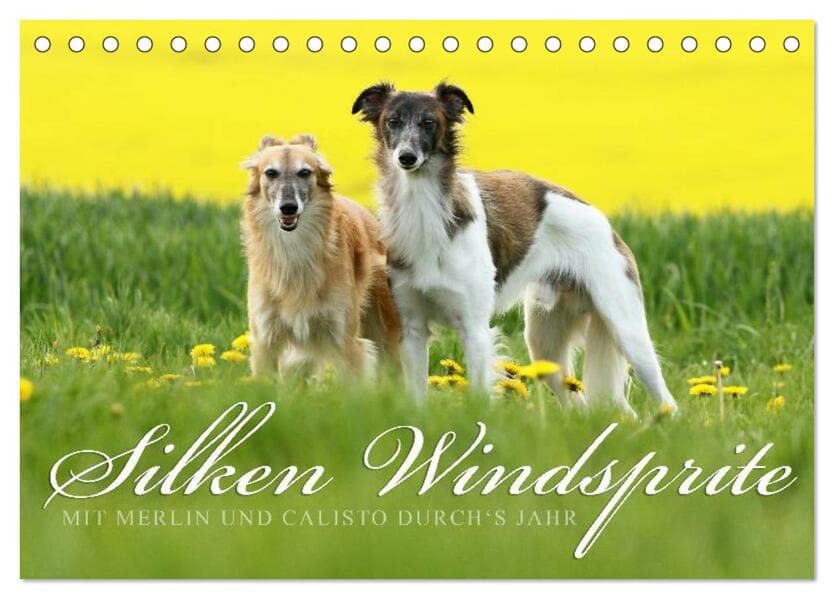 Silken Windsprite - Mit Merlin und Calisto durchs Jahr 2025 (Tischkalender 2025 DIN A5 quer), CALVENDO Monatskalender