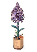 booknook: Lilac