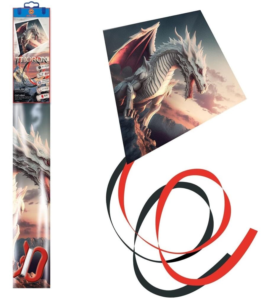 Paul Günther 1147 - Einleiner-Drachen Thoron aus Ripstop-Polyester, mit Schwanz, Wickelgriff, Schnur, 70x70 cm, ab 6 Jahren