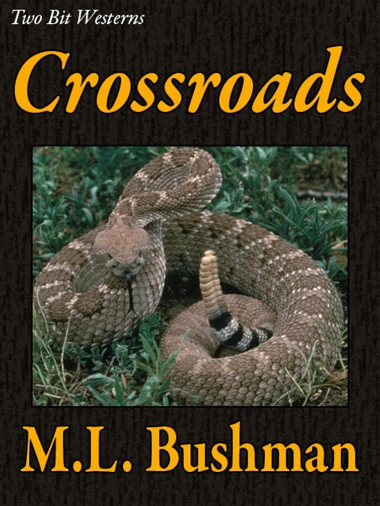 Crossroads (Two Bit Westerns-Eli Stone, #5)