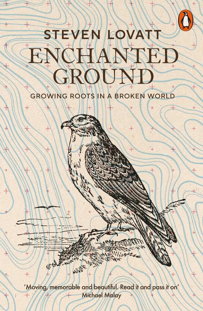 Enchanted Ground