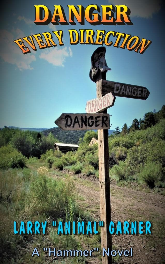 Danger Every Direction (Hammer, #3)