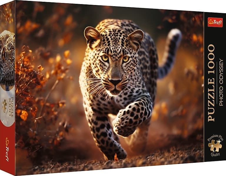 Photo Odyssey: Wild Leopard