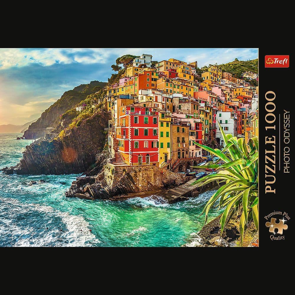Town of Riomaggiore, Italy