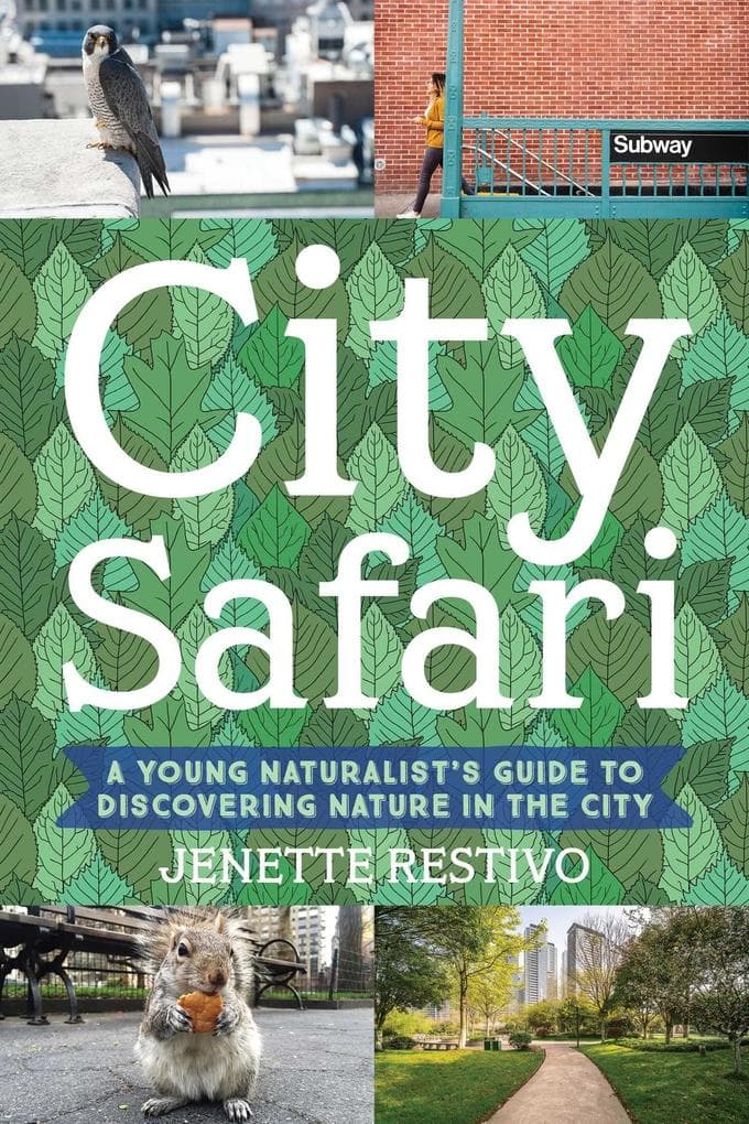 City Safari