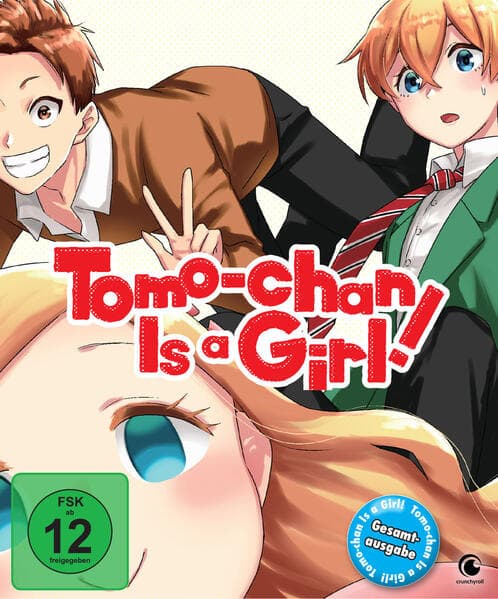 Tomo-chan Is a Girl! - Gesamtausgabe,2 DVD