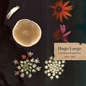 Huge,Large and Electric: Hugo Largo 1984-1991