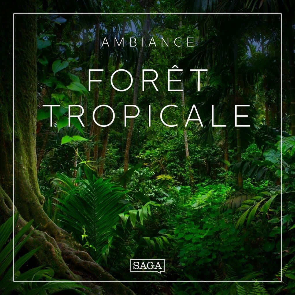 Ambiance Forêt tropicale
