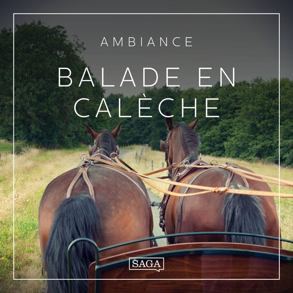 Ambiance Balade en calèche