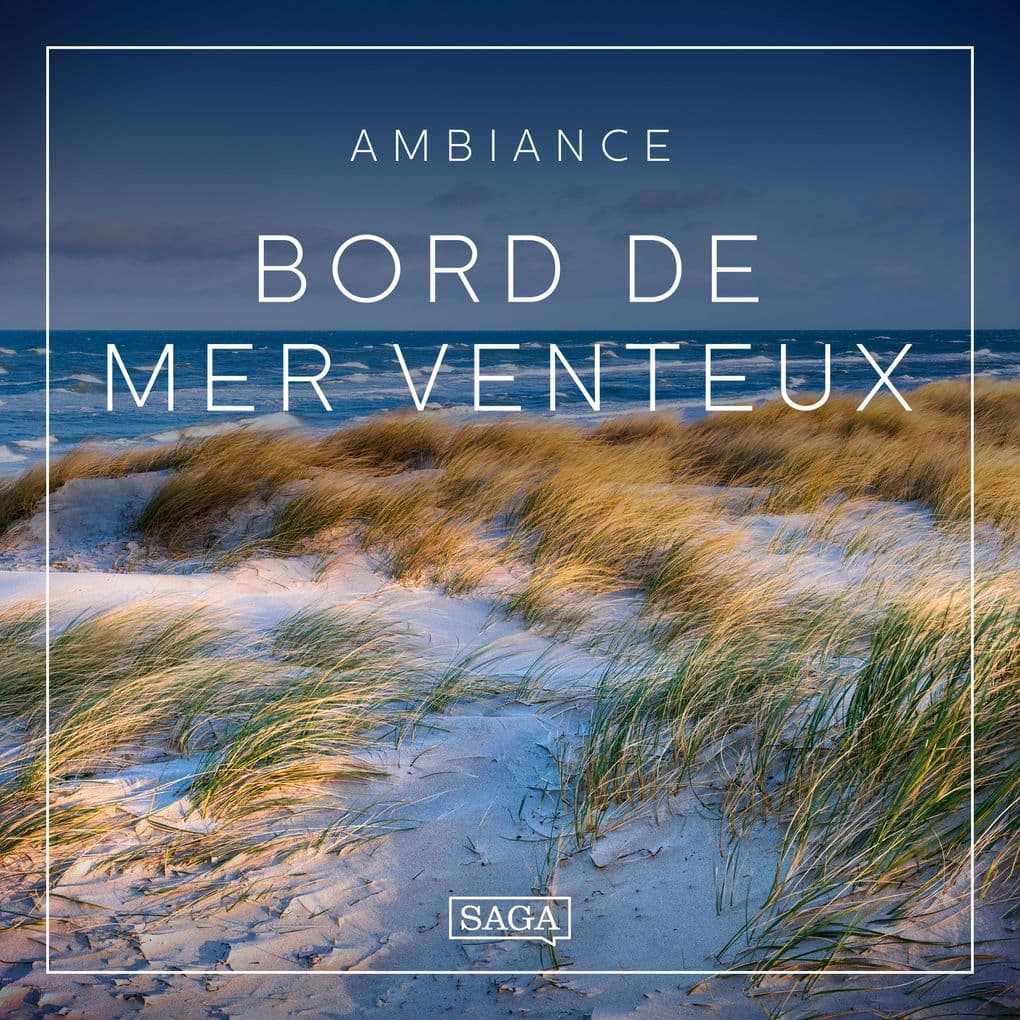 Ambiance Bord de mer venteux