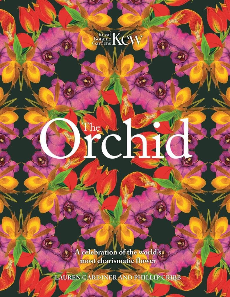 Orchid