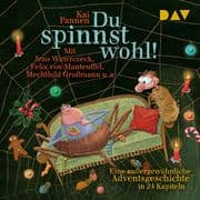 Du spinnst wohl! Eine außergewöhnliche Adventsgeschichte in 24 Kapiteln