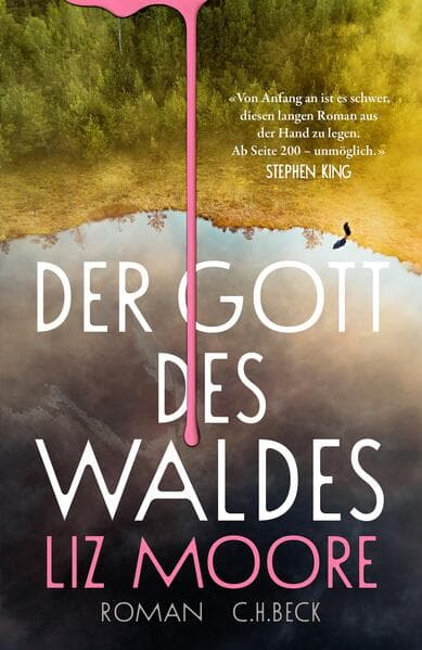 1. Liz Moore: Der Gott des Waldes