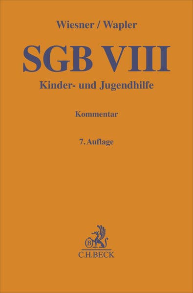 SGB VIII