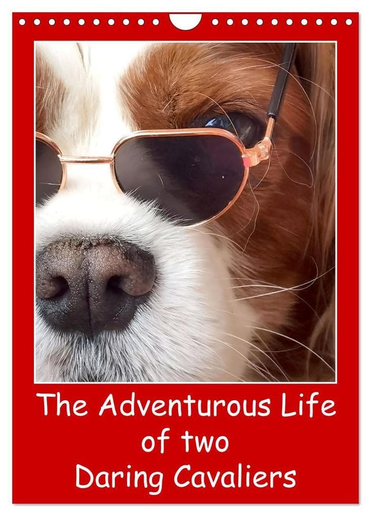 The Adventurous Life of two Daring Cavaliers (Wall Calendar 2025 DIN A4 portrait), CALVENDO 12 Month Wall Calendar