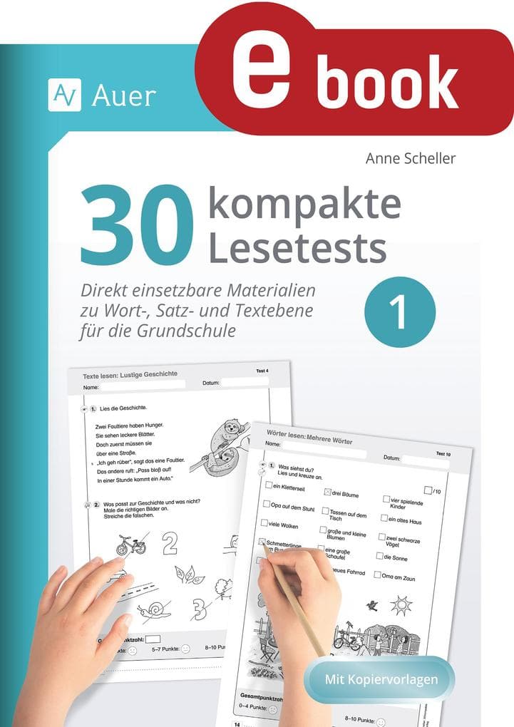 30 kompakte Lesetests für Klasse 1