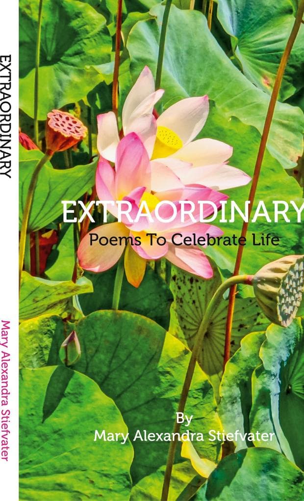 Extraordinary: Poems To Celebrate Life