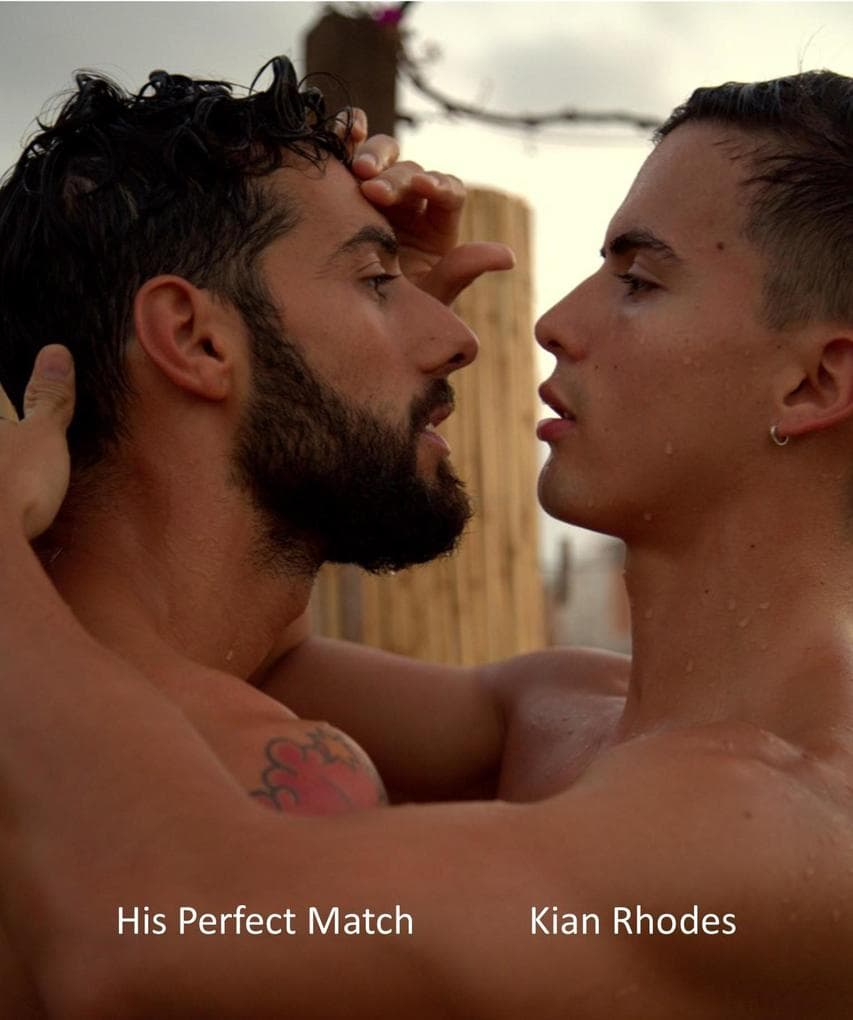 His Perfect Match (The Omega Auction Chronicles, #9)